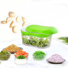 Manual Hand Push Garlic Cutter & Vegetable Chopper (1 pc)